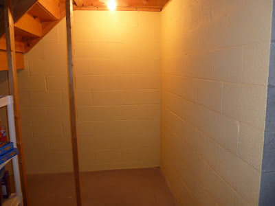 , Painting and Organizing the Basement (In Progress), 