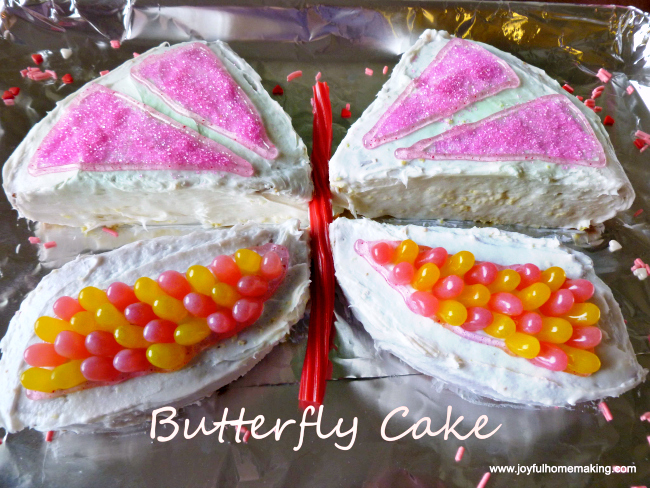 Little Girl’s Butterfly Cake