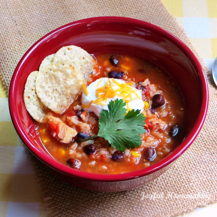 Chicken, Black Bean & Salsa Soup | Joyful Homemaking