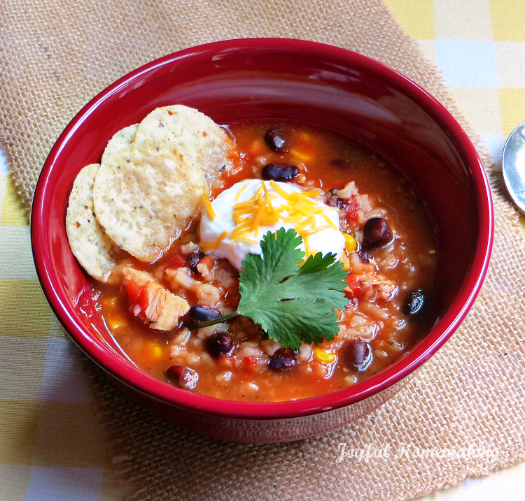 Chicken, Black Bean & Salsa Soup