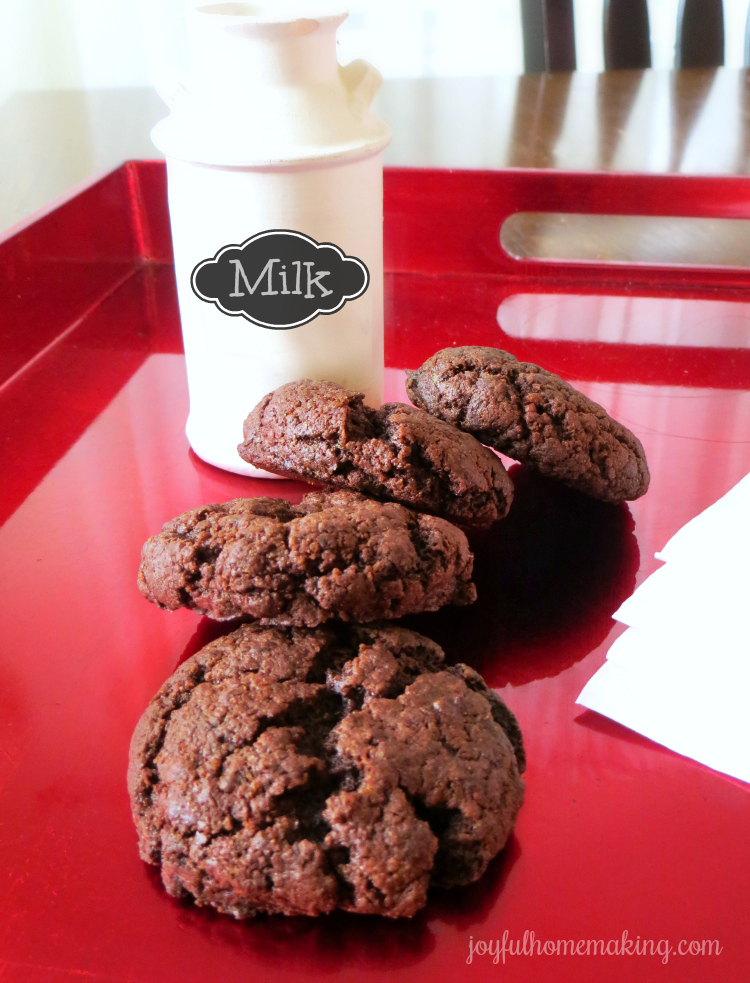 Egg Free Dairy Free Chocolate Cookies, Egg Free Dairy Free Chocolate Cookies, Joyful Homemaking