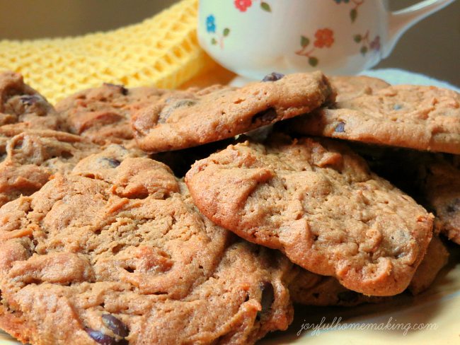 flourless Peanut butter and chocolate chip cookies, Flourless Peanut Butter and Chocolate Chip Cookies, Joyful Homemaking