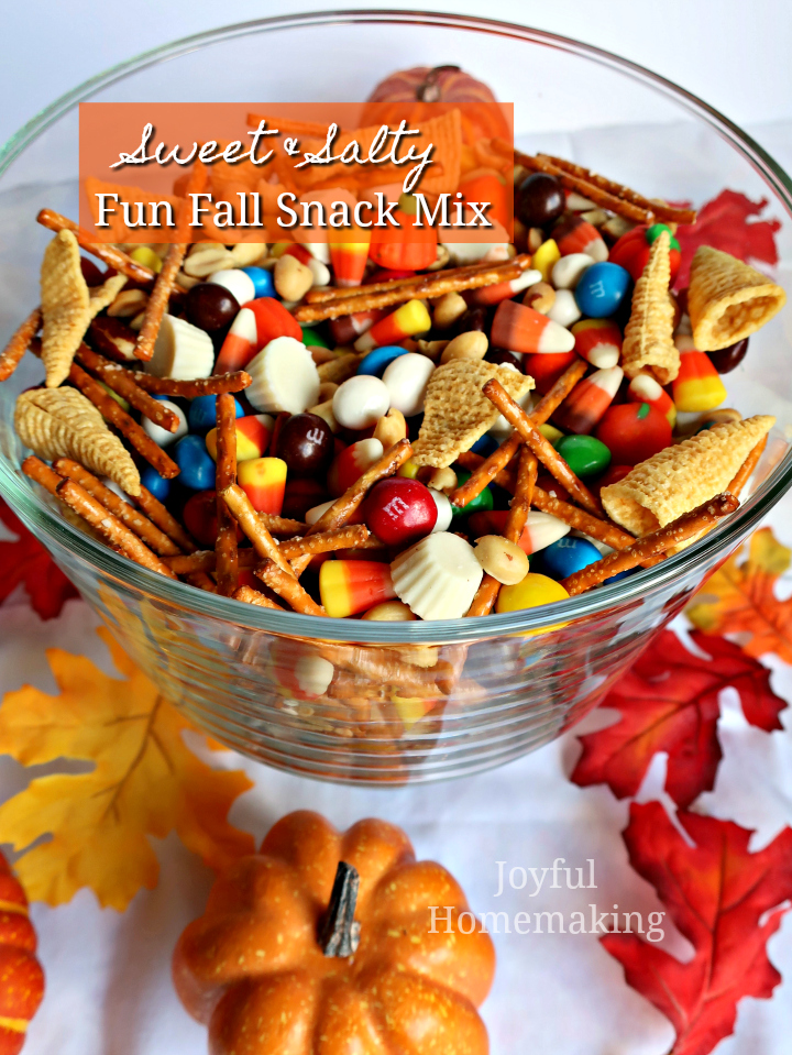 , Fall Sweet and Salty Snack Mix, Joyful Homemaking