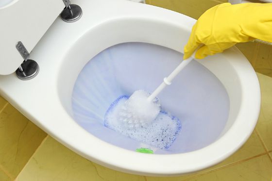 How to Keep Your Toilet Cleaner, How to Keep Your Toilet Cleaner, Joyful Homemaking