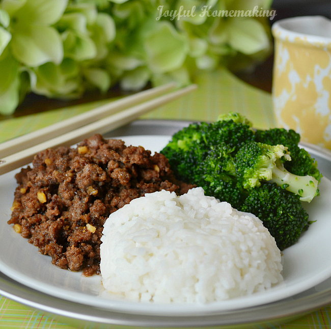 Korean beef, korean chicken, Amazing Korean Beef Recipe &#038; Great Flavoring for Chicken Too, Joyful Homemaking