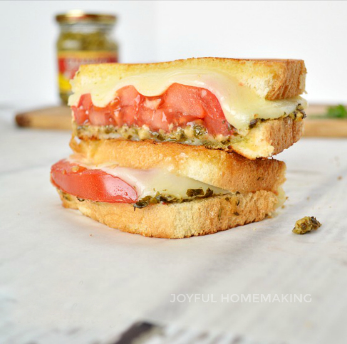 , 10 Easy &#038; Delicious Sandwiches for Summer or Anytime, Joyful Homemaking