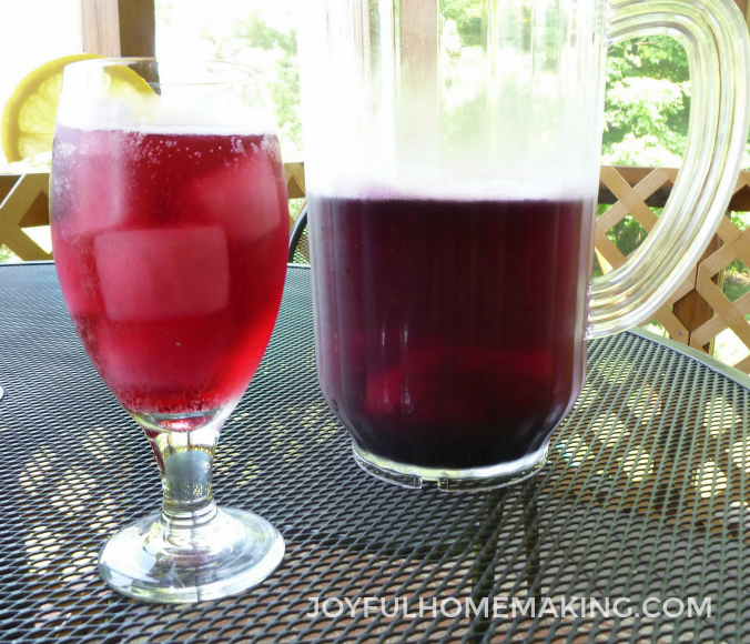 , Make Your Own Sparkling Juices, 